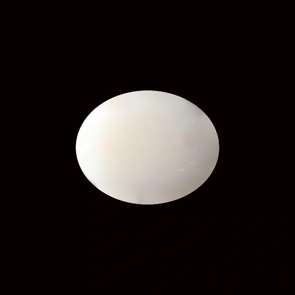White Coral - 5.58 carats